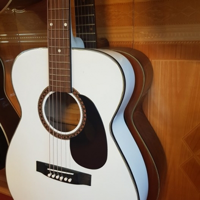 Acoustic Pro Martin Custom Special
