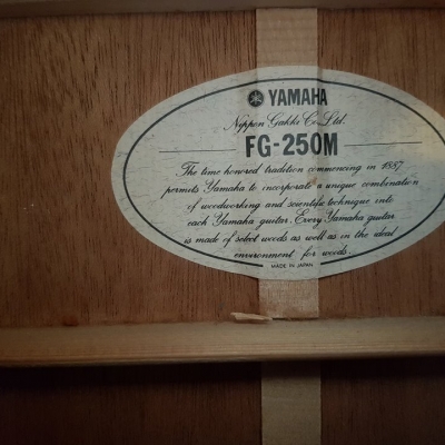 Yamaha FG250M top soilid