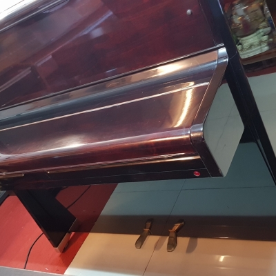 Tokai bán cơ Tokai bán cơ