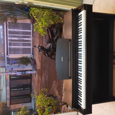 Yamaha ydp121 Yamaha ydp121